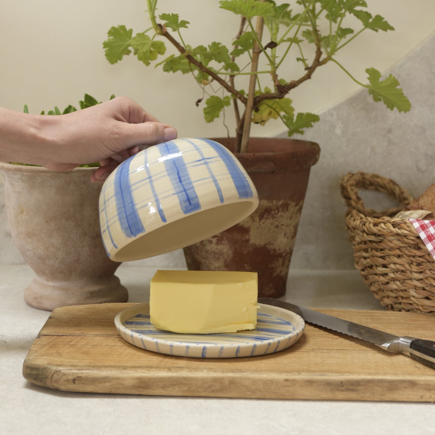 Butter Dish - Blue & Blue Gingham Stripes