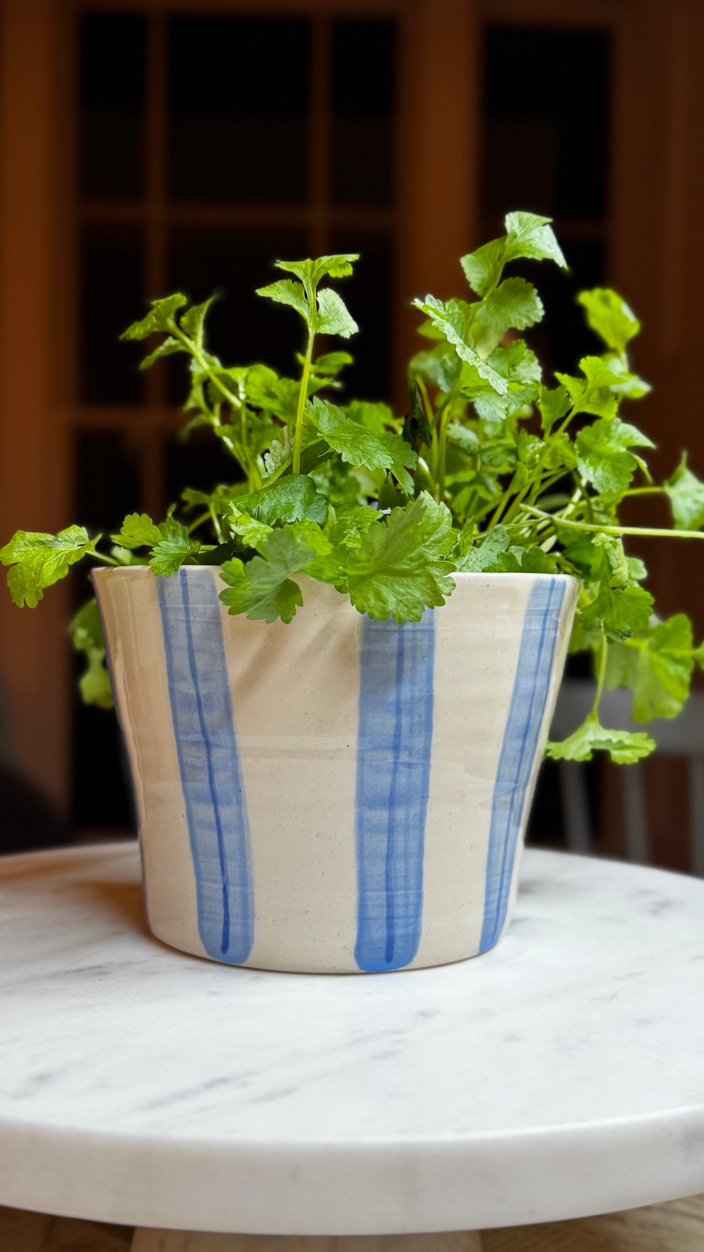 HERB POT // stripes