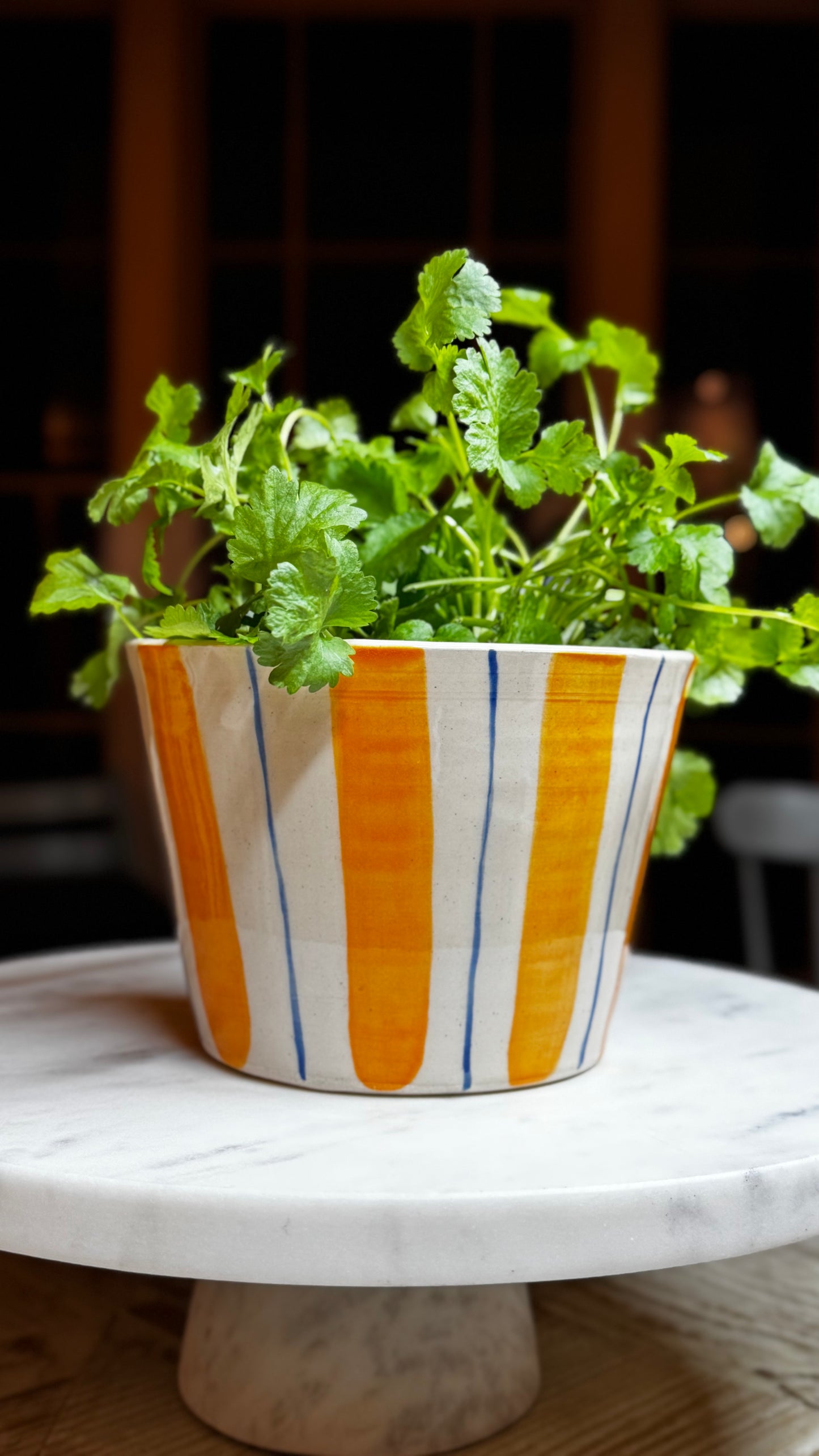 HERB POT // stripes
