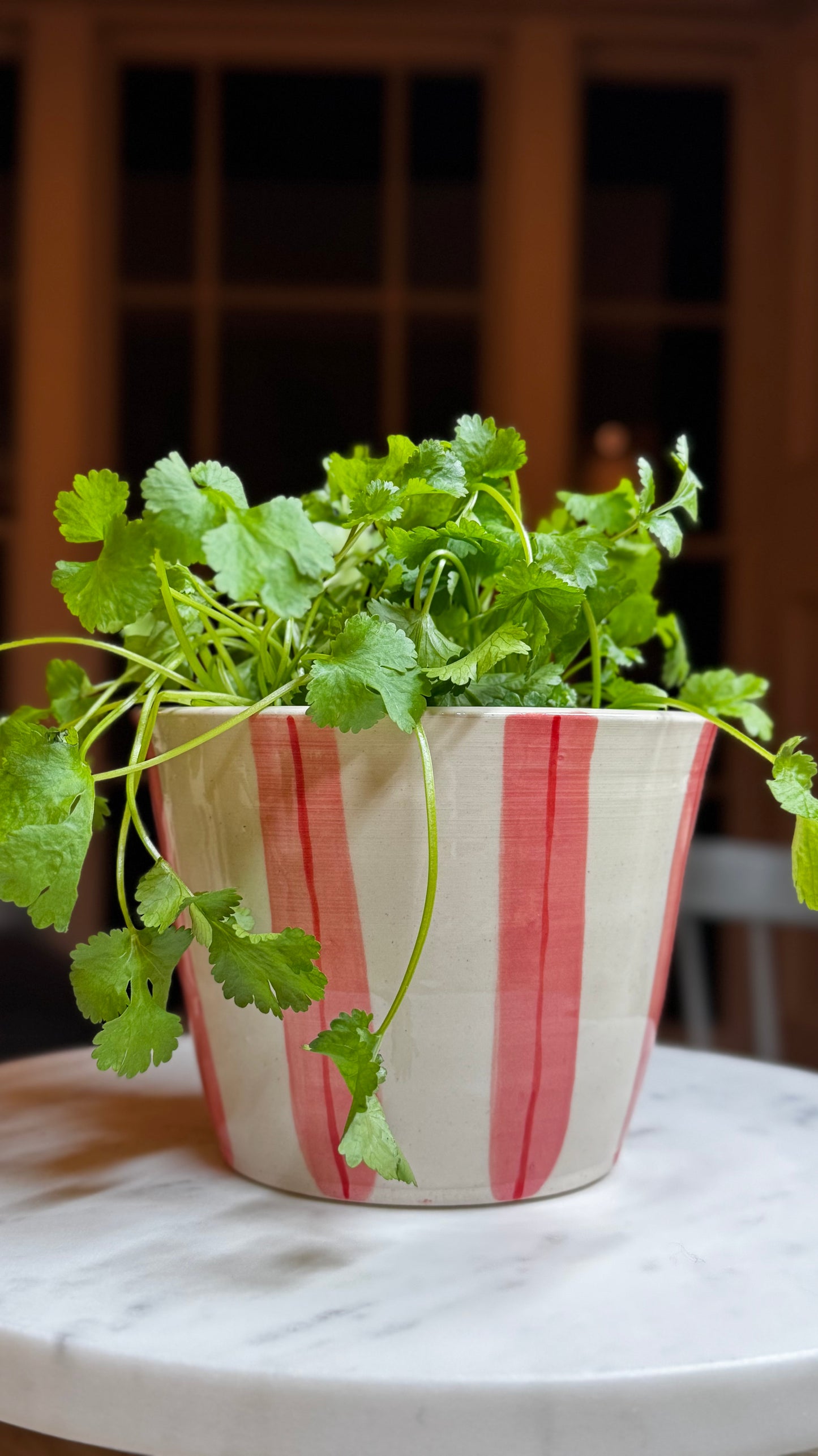 HERB POT // stripes