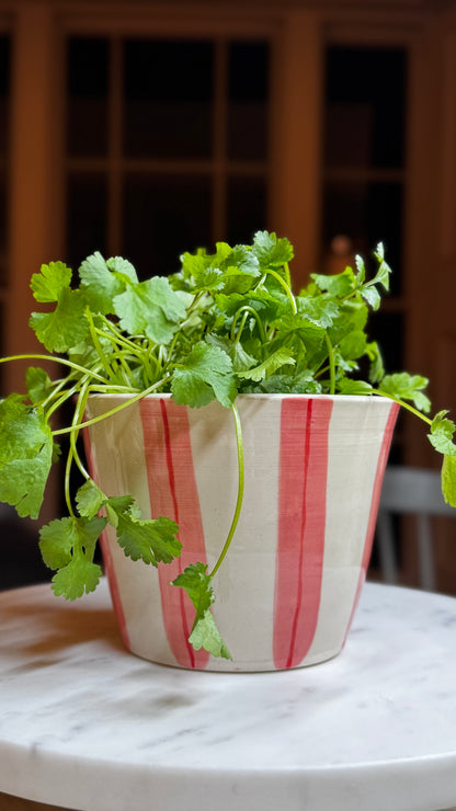 HERB POT // stripes