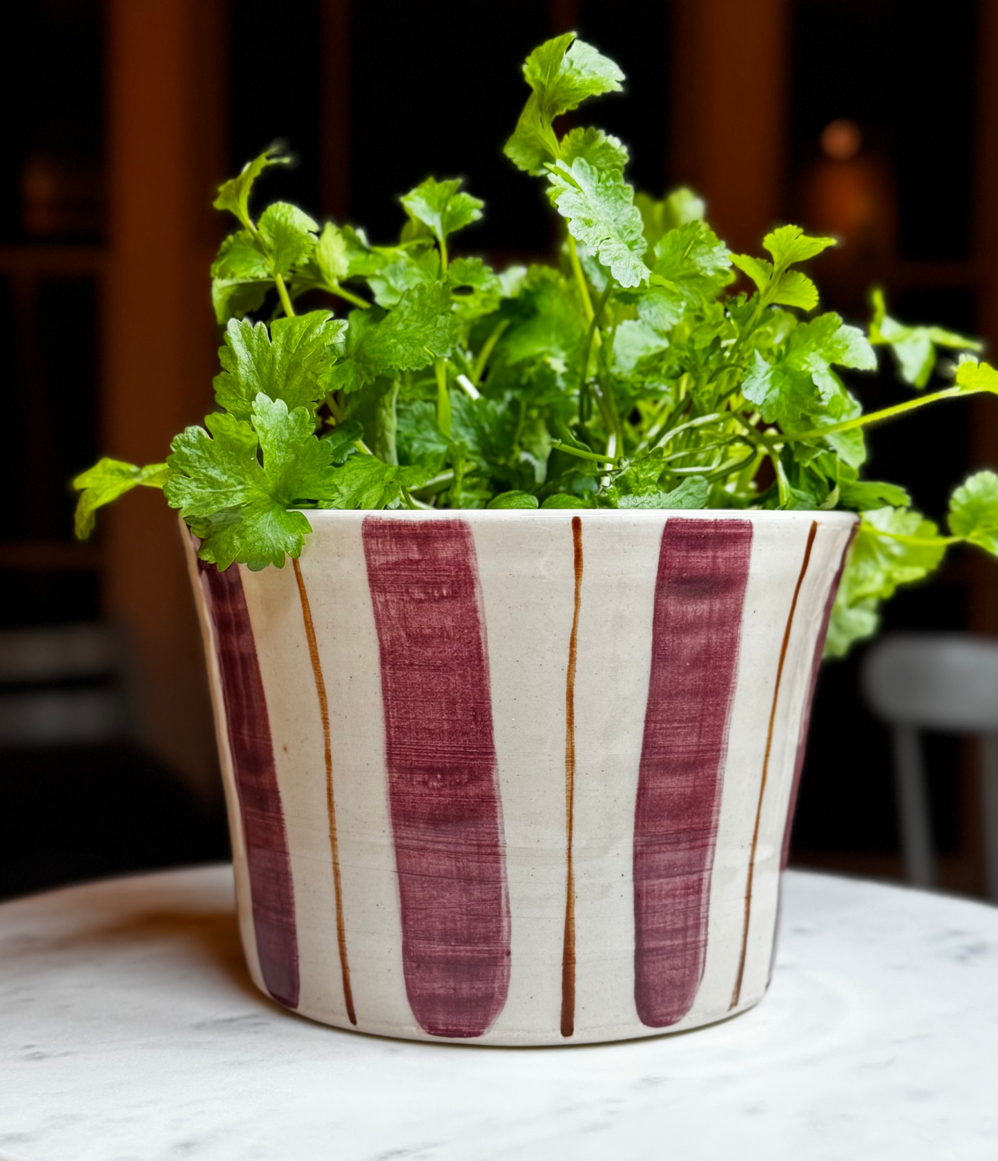 HERB POT // stripes