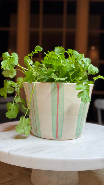 HERB POT // stripes