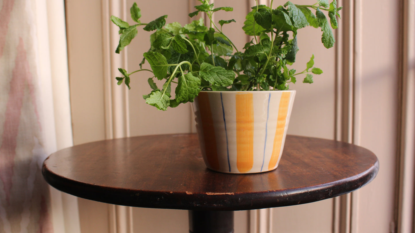 HERB POT // stripes