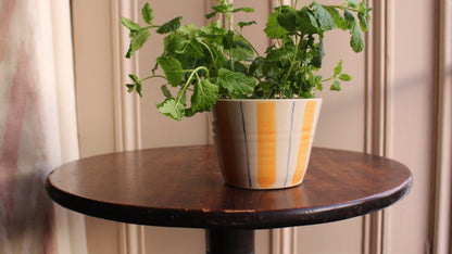 HERB POT // stripes