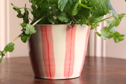HERB POT // stripes