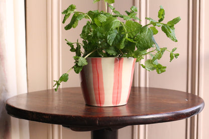 HERB POT // stripes