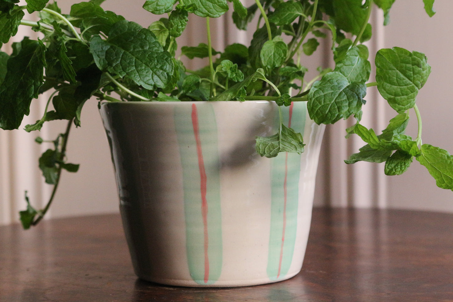 HERB POT // stripes