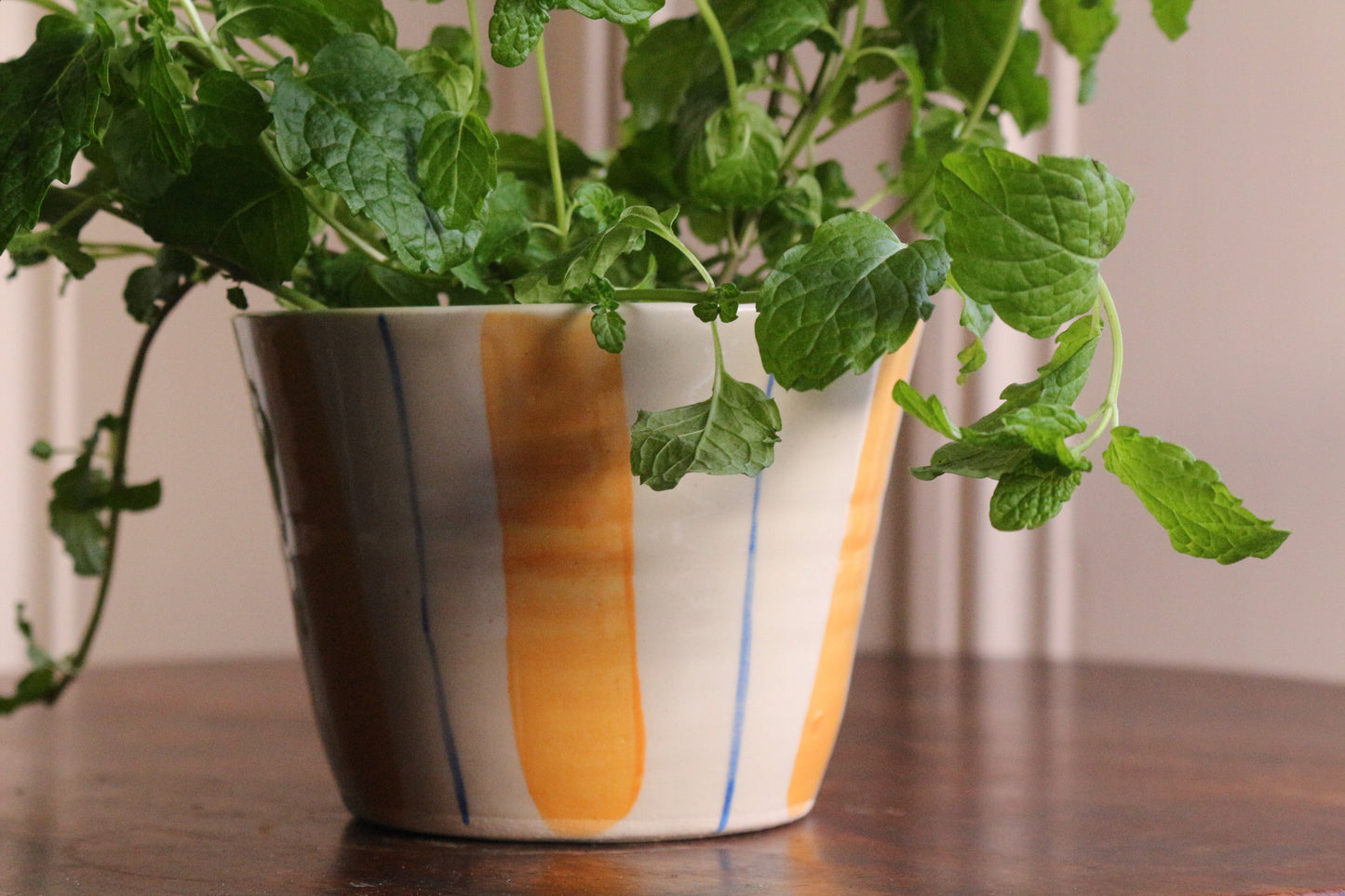 HERB POT // stripes