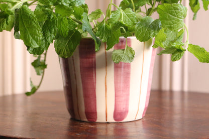 HERB POT // stripes